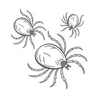 Showcase of Mites on Clean White Background vector