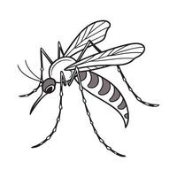 Mosquito Illustration on White Background vector