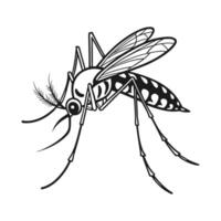 Mosquito Featured on White Background vector
