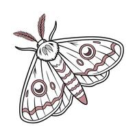 Moth Illustration on White Background vector