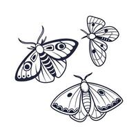 Moths Displayed on Bright White Surface vector