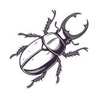 Showcase of Myrmeleon Formicarius on Bright White Background vector