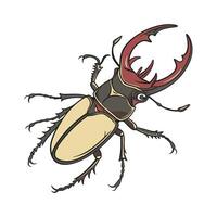 Showcase of Neolucanus Swinhoei on Clean White Background vector