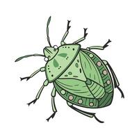 Dramatic View of Nezara Viridula on White vector