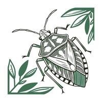 Showcase of Nezara Viridula on Clean White Background vector