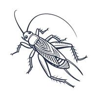 Dramatic View of Oecanthus on Clean White Background vector