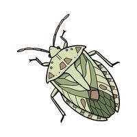 Dramatic View of Palomena Prasina on White vector