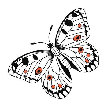 Showcase of Parnassius Apollo on Clean White Background vector