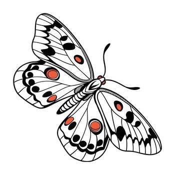 Parnassius Apollo Displayed on Bright White Background vector