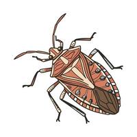 Pentatoma Rufipes Displayed on Clean White Surface vector