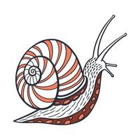 Dramatic View of Perla Marginata on White vector