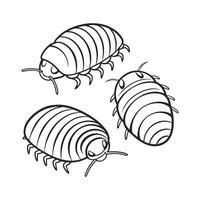 Pill Bugs Featured Against Bright White Background vector