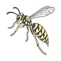 Showcase of Polistes on Clean White Background vector