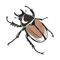 Showcase of Popillia Japonica on White vector