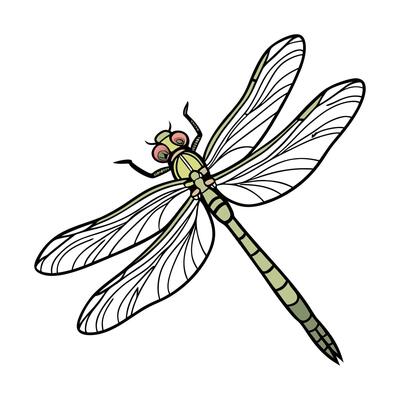 Dramatic View of Progomphus Obscurus on White