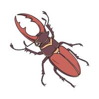 Prosopocoilus Mohnikei on Bright White Surface vector