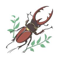 Dramatic Capture of Prosopocoilus Mohnikei on White vector