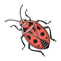 Dramatic Capture of Pyrrhocoris Apterus on White vector