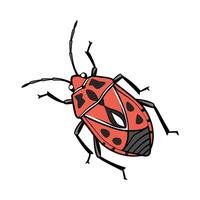 Pyrrhocoris Apterus Featured on Bright White Background vector
