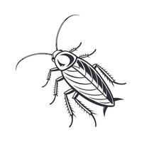 Roach Featured on Clean White Surface vector