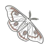 Samia Cynthia Featured on Bright White Background vector