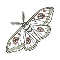 Saturnia Pyri on Bright White Background vector