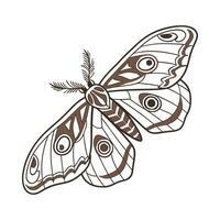 Dramatic Capture of Saturnia Pyri on White vector
