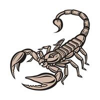 Dramatic Capture of Scorpion on Clean White Background vector