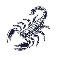 Scorpion Displayed on Bright White Surface vector