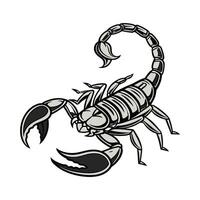 Scorpion Featured on Bright White Background vector