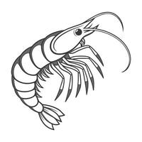 Shelfordella Lateralis on Bright White Background vector
