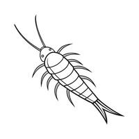 Silverfish Illustration on White Background vector