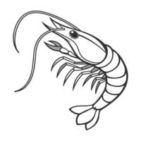 Shelfordella Lateralis Featured on Bright White Surface vector