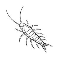 Display of Silverfish on Clean White Background. vector