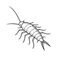Display of Silverfish on Clean White Surface vector