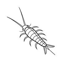 Silverfish Displayed on Clean White Background vector