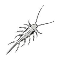 Dramatic Capture of Silverfish on Bright White Surface vector