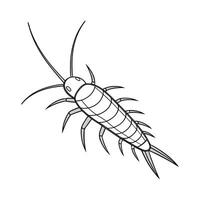 Showcase of Silverfish on Bright White Surface. vector