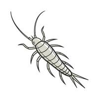 Silverfish Displayed on Clean White Background. vector