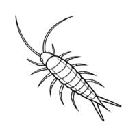 Dramatic Capture of Silverfish on White vector