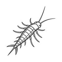 Display of Silverfish on Bright White Surface vector