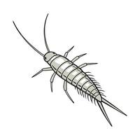 Silverfish Displayed on Clean White Background Illustration vector