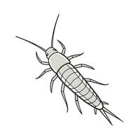 Dramatic Capture of Silverfish on Clean White Background vector
