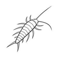 Showcase of Silverfish on Bright White Surface Illustration vector
