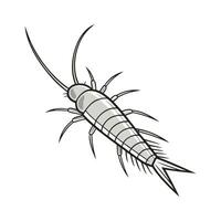 Dramatic View of Silverfish on White. vector