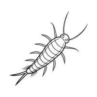 Dramatic Capture of Silverfish on Bright White Surface. vector