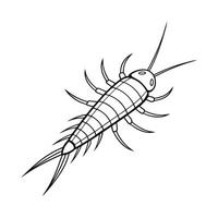Silverfish Featured against Bright White Background vector