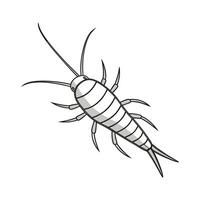Showcase of Silverfish on Clean White Background vector