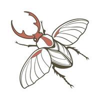 Display of Sipyloidea Sipylus on Bright White Surface vector