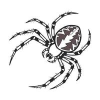 Display of Spider on Clean White Background vector